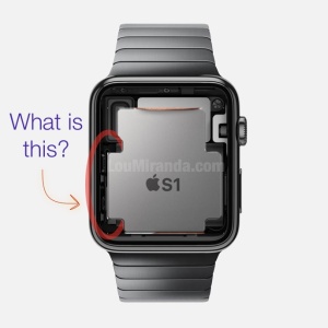 Apple Watch S1 - 100Percent